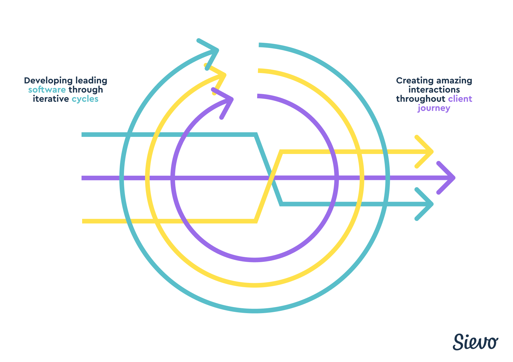 Software organization cycles of development